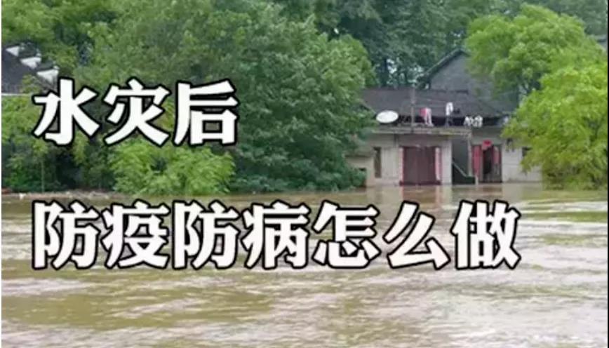 &#22810;&#23453;&#22312;&#32447;&#45;&#22810;&#23453;&#22312;&#32447;&#65288;&#20013;&#22269;&#65289;